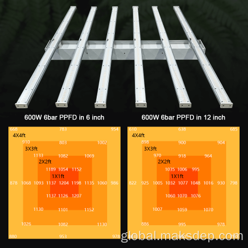 Best Full Spectrum Led Grow Light 4X4 Tent